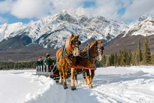 Sleigh Rides at Pyramid Lake