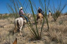 Rancho De La Osa, Sasabe, Arizona