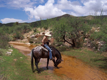 Rancho De La Osa, Sasabe, Arizona