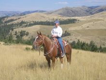 Hidden Hollow Hideaway, Townsend, Montana