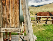 Medicine Lodge Horse Drive, Silver Spur, Idaho