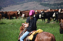 Vee Bar Guest Working Ranch, Centennial Valley, Wyoming