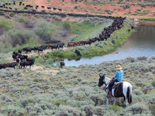 Vee Bar Guest Working Ranch, Centennial Valley, Wyoming