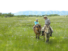 Vee Bar Guest Working Ranch, Centennial Valley, Wyoming