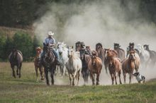 Western Pleasure Guest Ranch, Sandpoint, Idaho