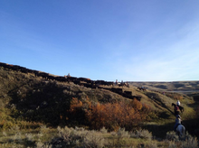 La Reata Ranch, Kyle, Saskatchewan