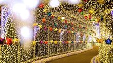 Illuminations at Hamamatsu Fruit Park 