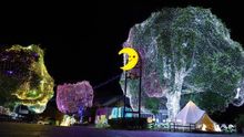 Illuminations at Hamamatsu Fruit Park Tokinosumika
