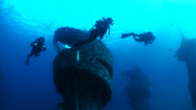 Wonder Reef