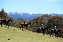 Horse Riding, Snowy Wilderness Resort
