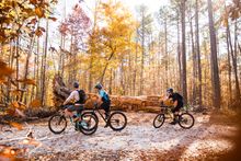 Umstead State Park