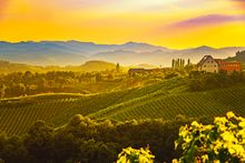 Tuscan Hills, among the new tours launched by Newmarket Holidays in 2023
