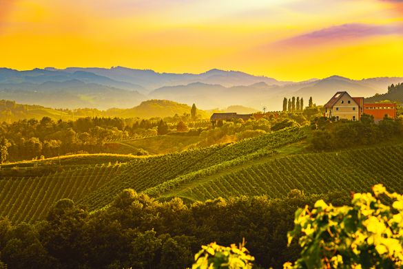 Tuscan Hills, among the new tours launched by Newmarket Holidays in 2023 Tuscan Hills, among the new tours launched by Newmarket Holidays in 2023
