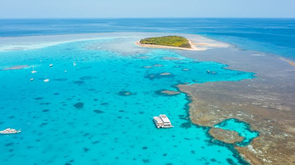Lady Musgrave Island, Southern Great Barrier Reef