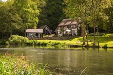 The Hampshire Avon River which runs along the bottom of the garden at Undercastle Cottage