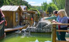 The new-look penguin enclosure