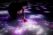 Drawing on the Water Surface Created by the Dance of Koi and People - Infinity