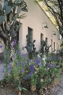 Barrio Viejo In Arizona Was Recognized In The New York Times List Of Places To Go In 2023