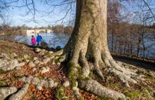 A couple take in 'Britain's Finest View' at Blenheim Palace