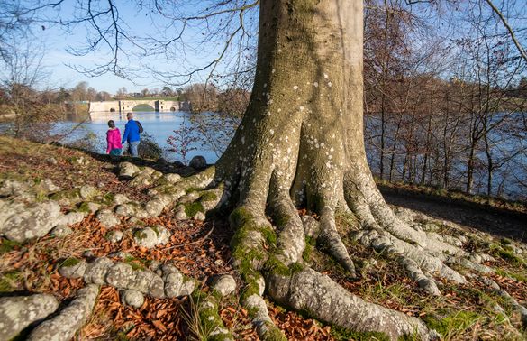 A couple take in 'Britain's Finest View' at Blenheim Palace