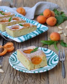 Austrian apricot cake
