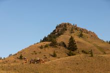 Thrilling trail rides, O.T.O. Ranch, Montana