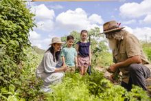 Public tours through HVD Permaculture Farm