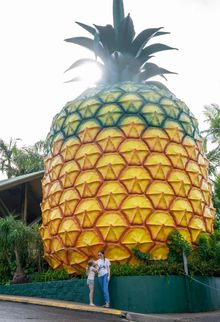 Big Pineapple