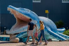 Kronosaurus Korner