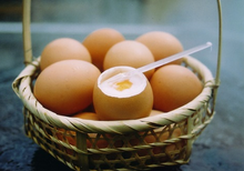 Onsen eggs