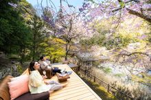 HOSHINOYA Kyoto_Luxury hanami_Terrace_Wooddeck