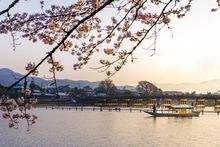 HOSHINOYA Kyoto_Sakura at dawn_The experience