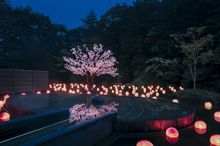 Hoshino Resorts Aomoriya_Festive Sakura_Onsen