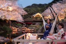 KAI Nagato_Nighttime hanami picnic by the river_The experience