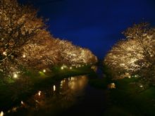 KAI Tamatsukuri_Sakura on the move_Town