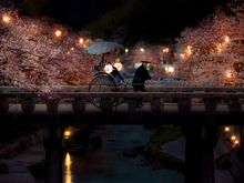 KAI Tamatsukuri_Sakura on the move_Rickshow_1