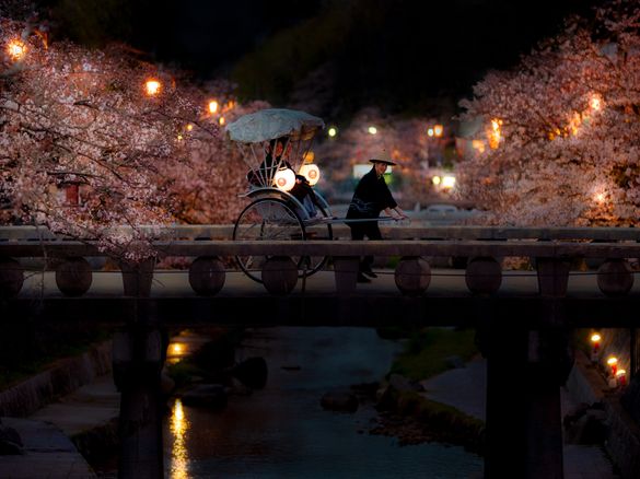KAI Tamatsukuri_Sakura on the move_Rickshow_1