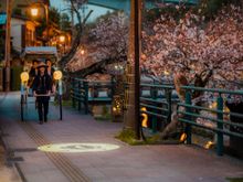 KAI Tamatsukuri_Sakura on the move_Rickshow_3