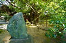 Hamamatsu Hachimangu