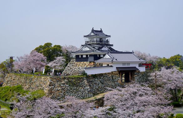 Hamamatsu Castle