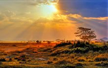 On Safari in Kruger Park, one of the tours included in Newmarket Holidays’ new Exclusive range