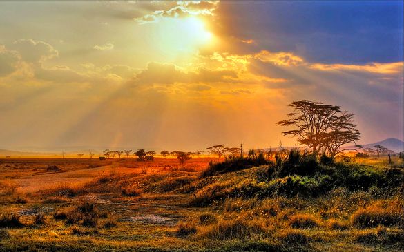 On Safari in Kruger Park, one of the tours included in Newmarket Holidays’ new Exclusive range