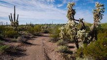 Peralta Regional Park - trail 1