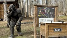 Bigfoot is everywhere at Clarksville's Cross Creek Clays.