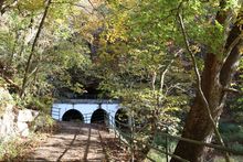 Dunbar Cave State Park