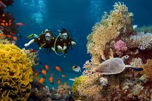 Avani+ Fares Maldives - Diving