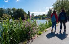 Reading Walks Festival