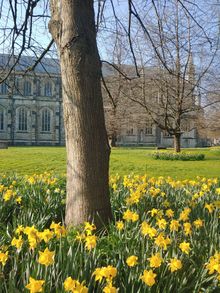 Winchester Cathedral