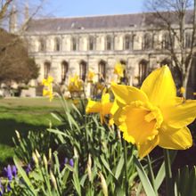 Winchester Cathedral