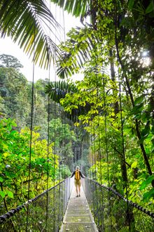Tree Top Hanging Bridges, Costa Rica 